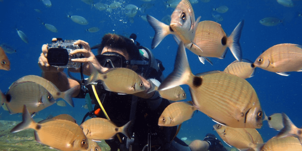 Scuba diver swimming among colorful tropical fish in clear Fethiye waters during guided dive tour