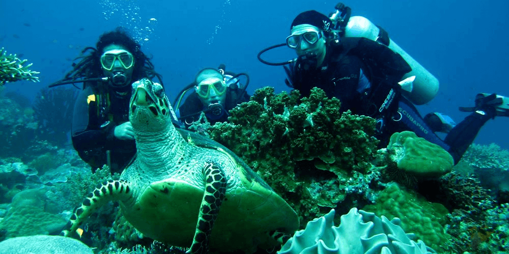 Underwater diver exploring Fethiye reefs